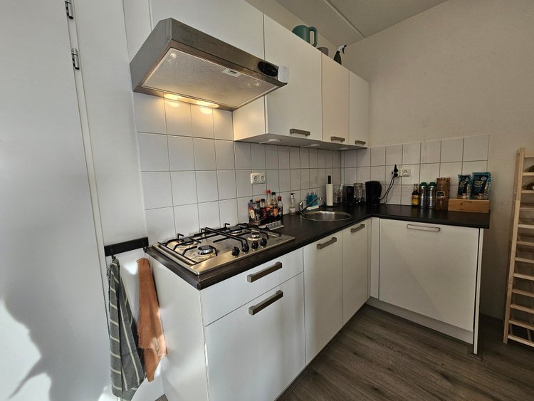 Rental property 4