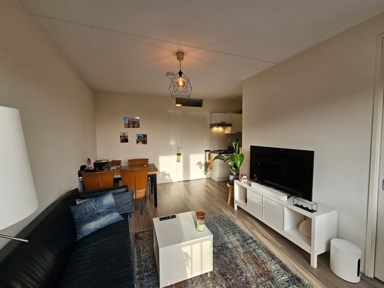 Rental property 3