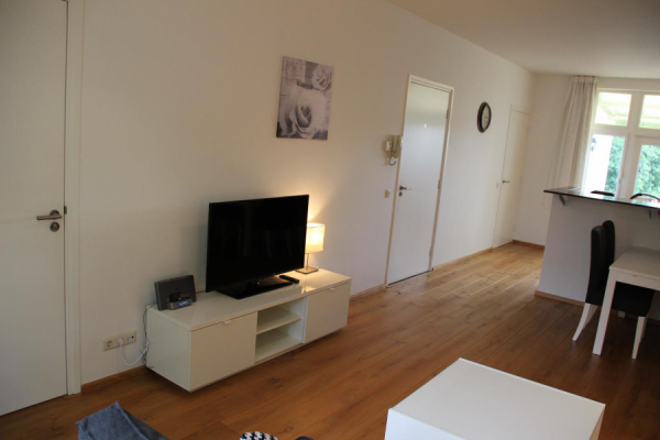 Rental property 5