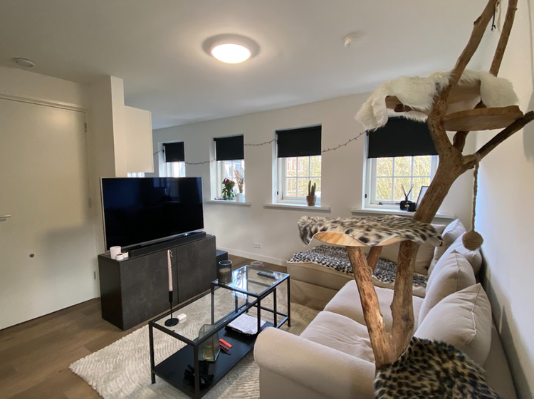 Rental property 4
