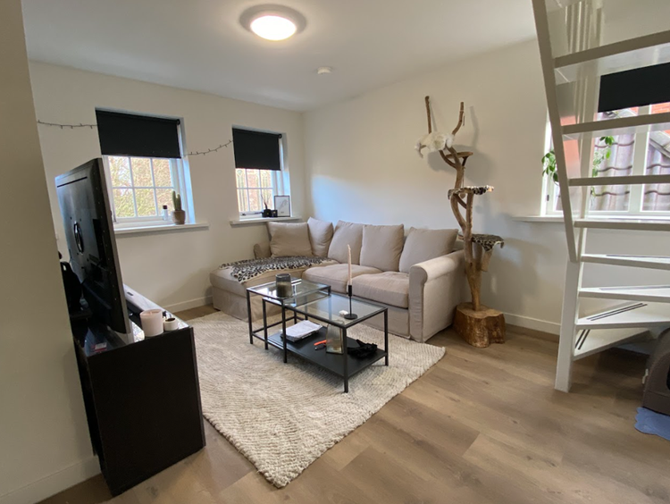 Rental property 2