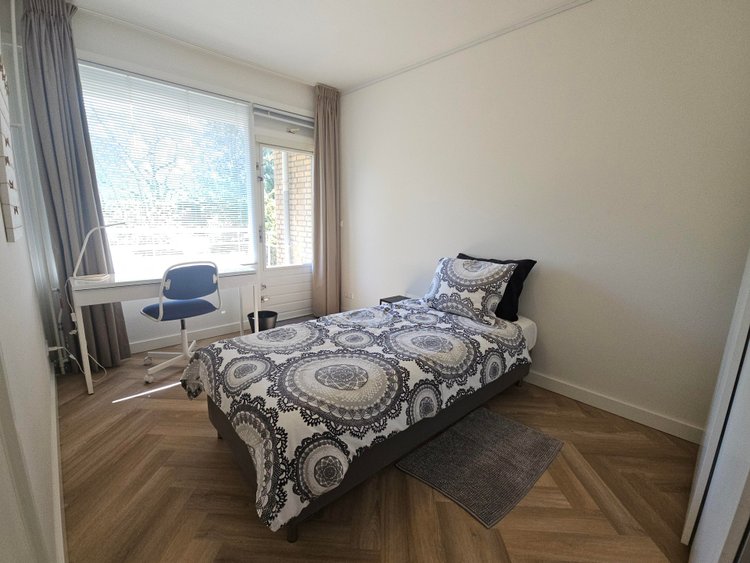 Rental property 5