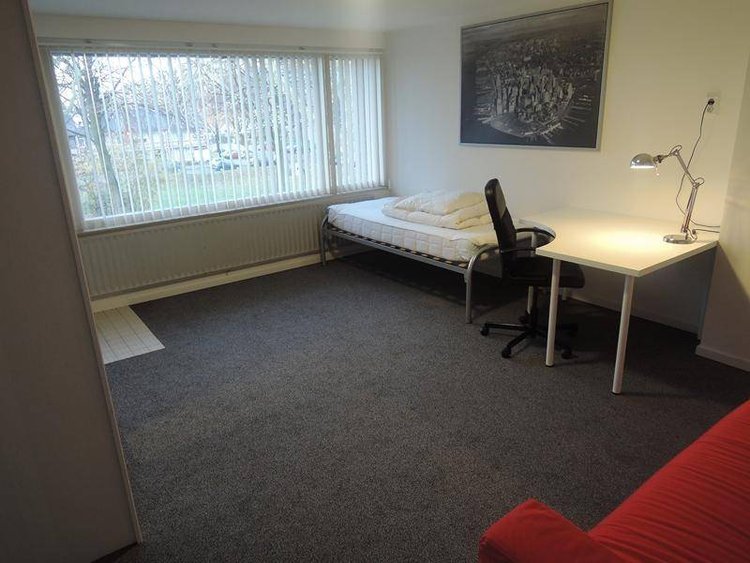 Rental property 3