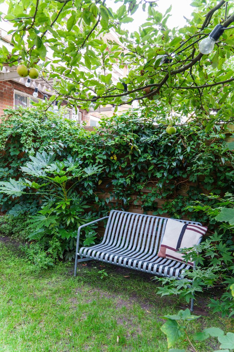 Rental property 3