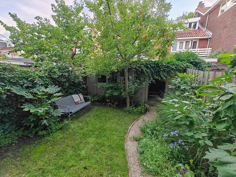 Rental property 4