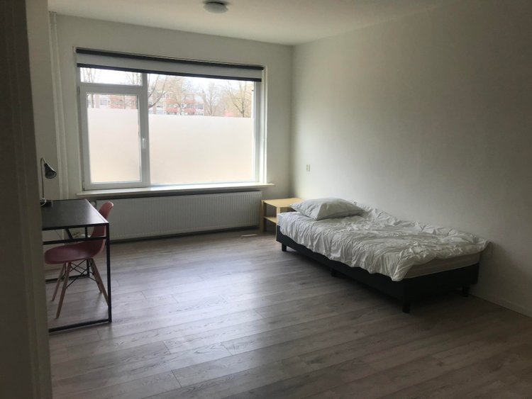Rental property 2