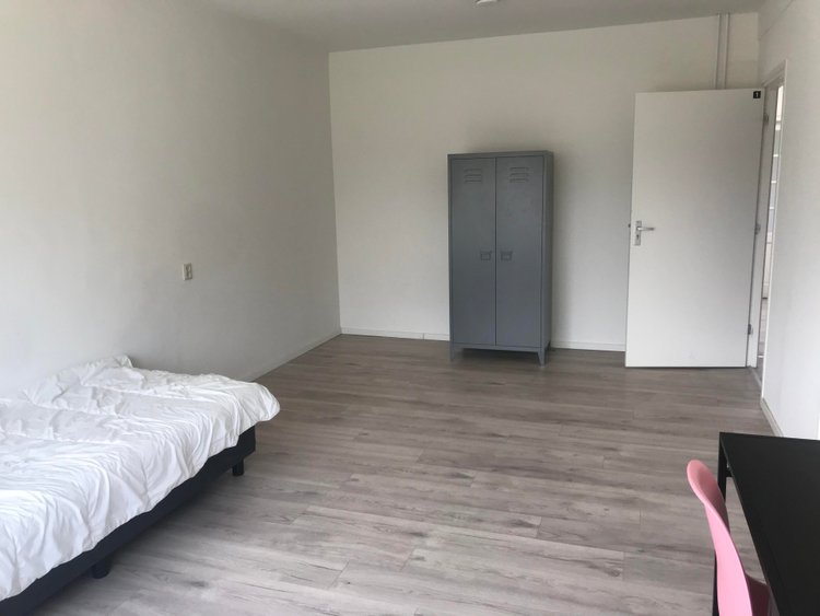 Rental property 3