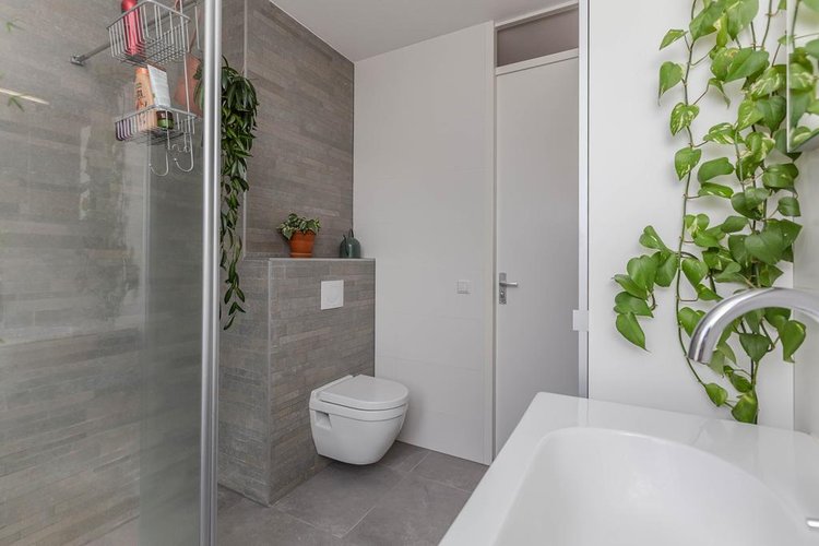 Rental property 5
