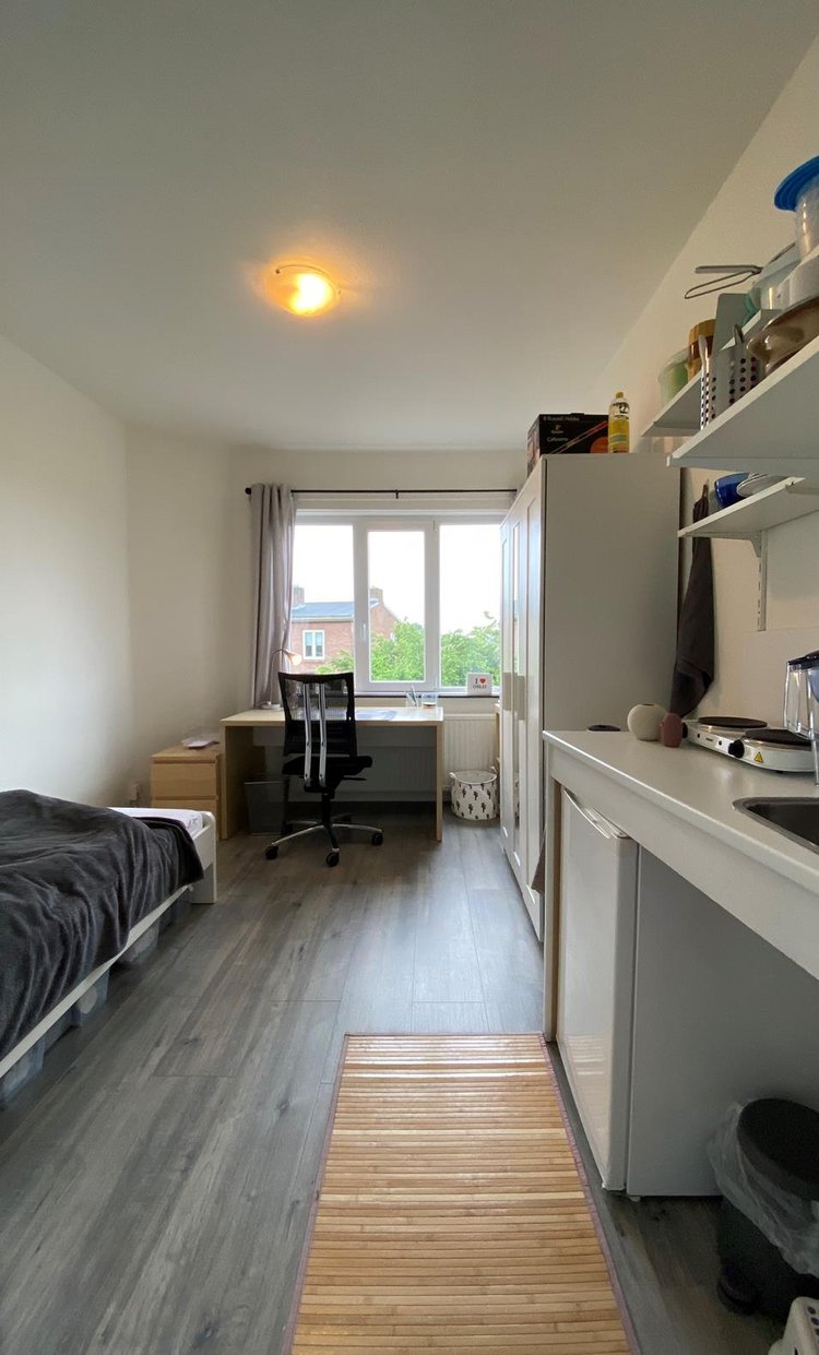 Rental property 5