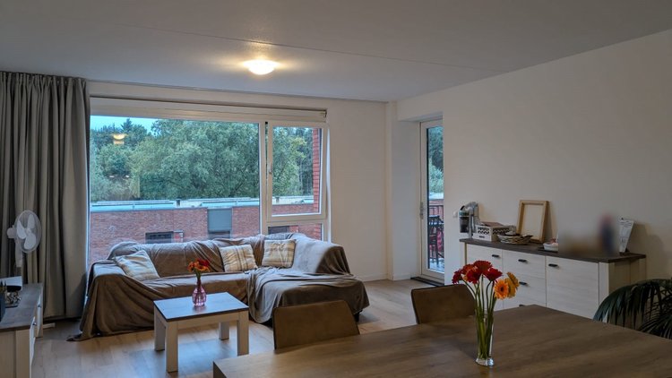 Rental property 2
