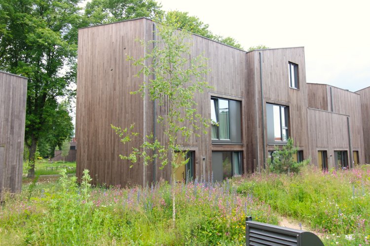 Rental property 2