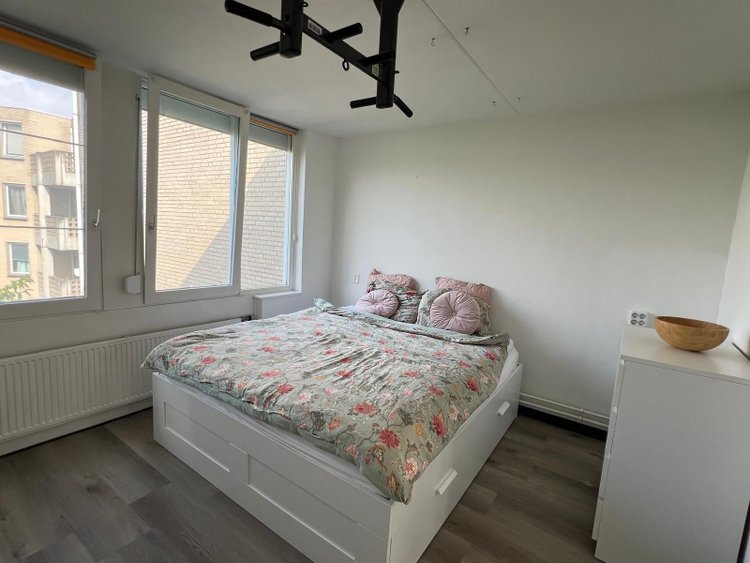 Rental property 5