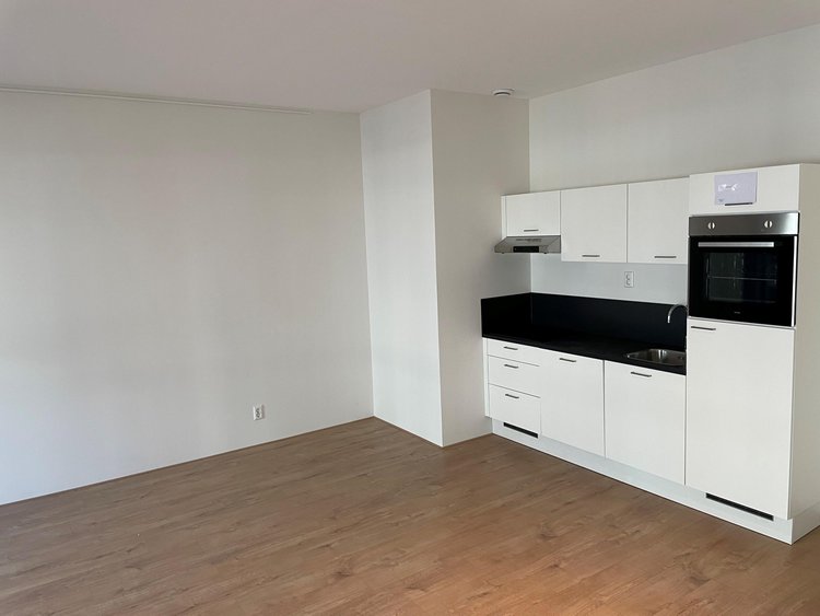 Rental property 3