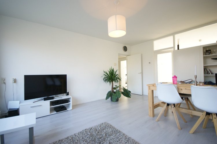 Rental property 5