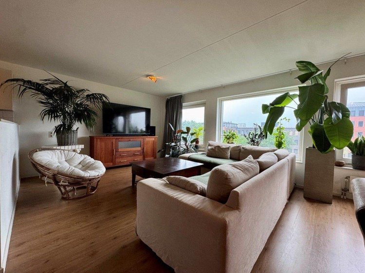 Rental property 5