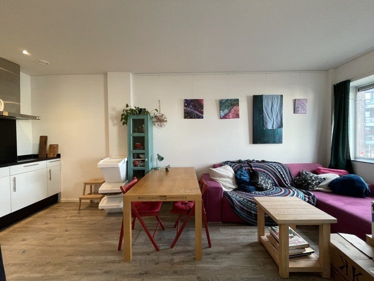 Rental property 3