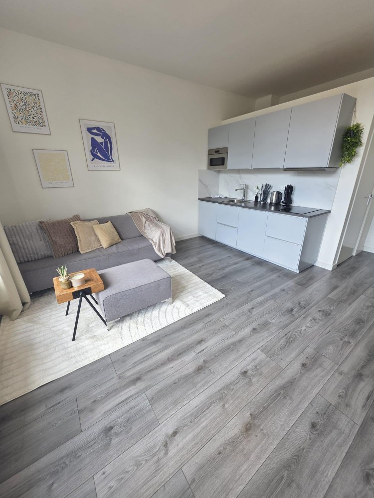 Rental property 4