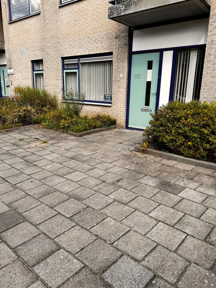 Rental property 2