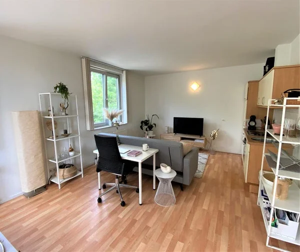 Rental property 2