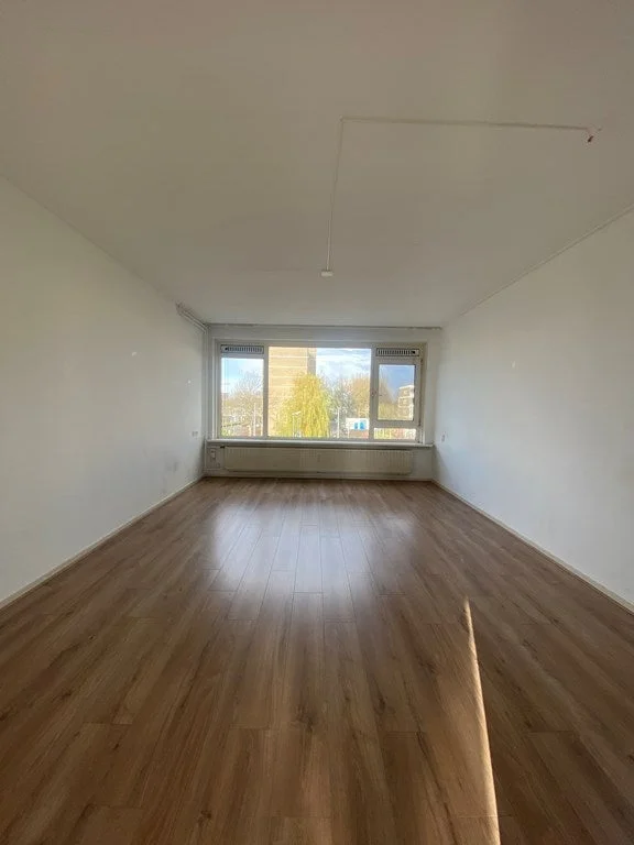 Rental property 2