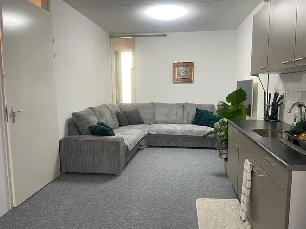 Rental property 2