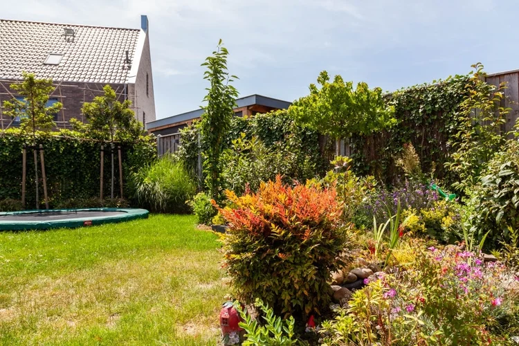 Rental property 2