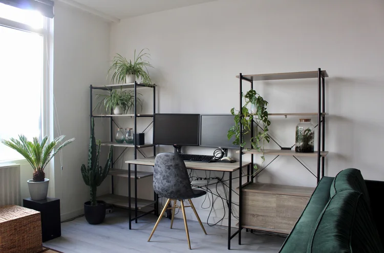 Rental property 2