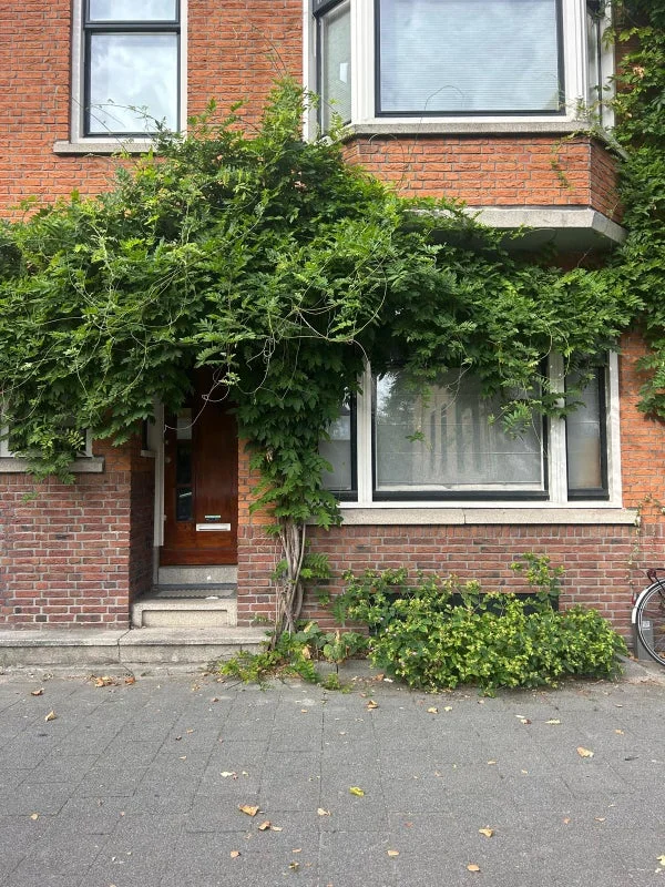 Rental property 2