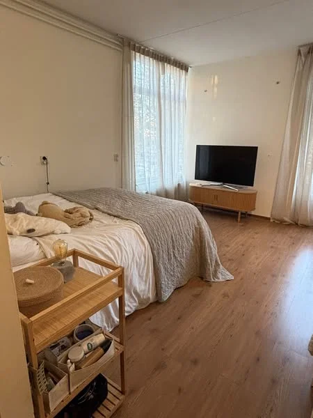 Rental property 2