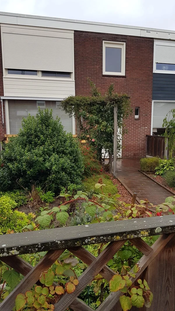 Rental property 2