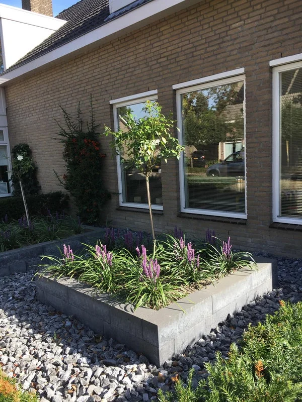 Rental property 2