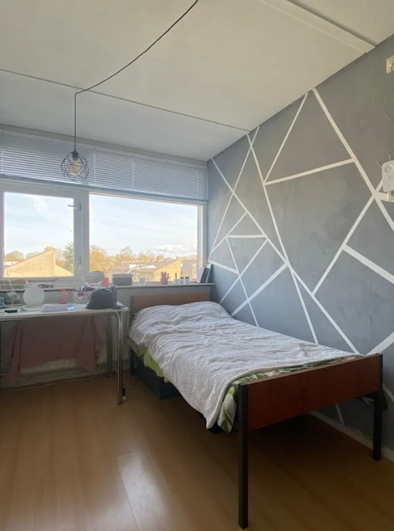 Rental property 2