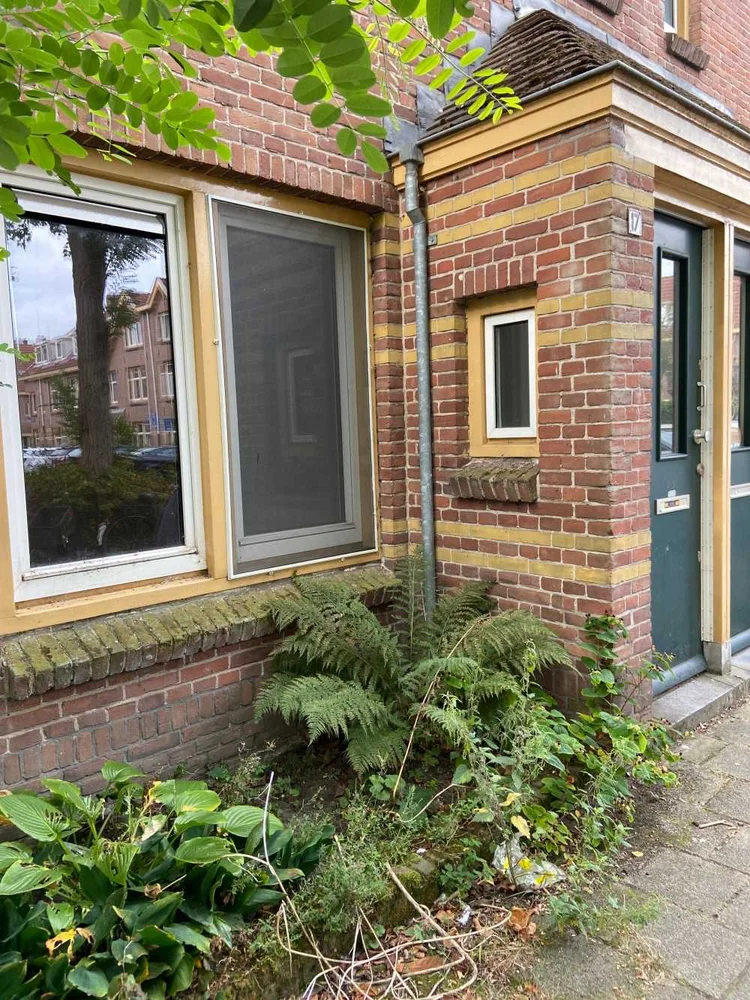 Rental property 2