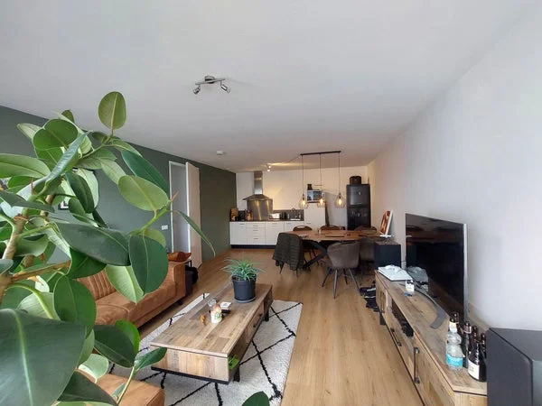 Rental property 2