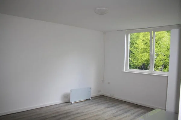 Rental property 2