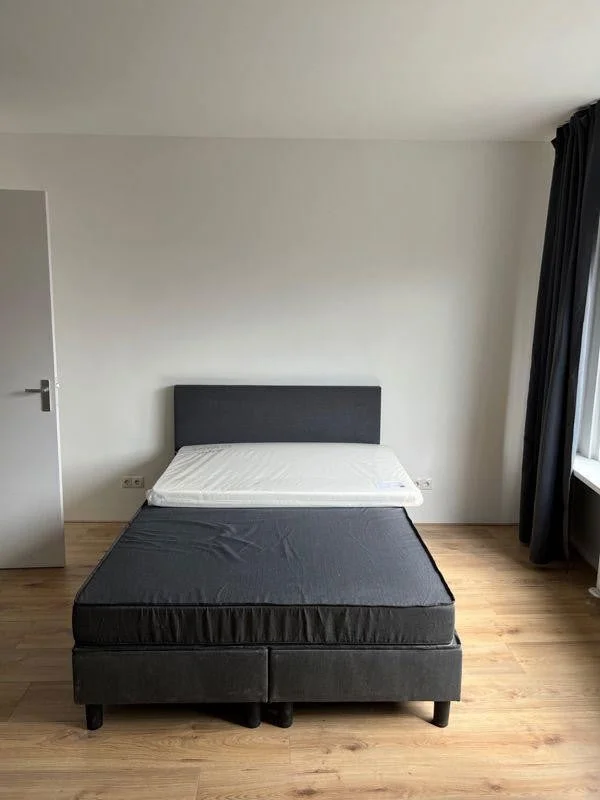 Rental property 2