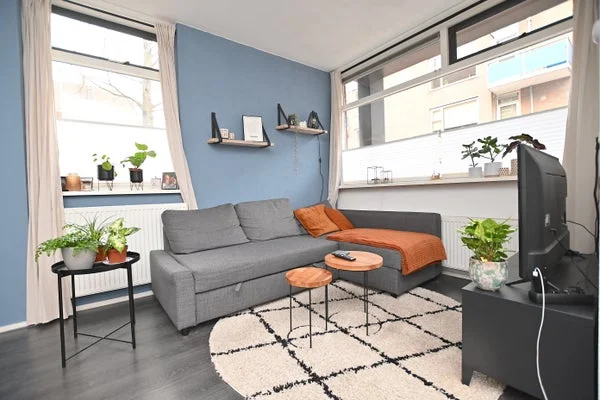 Rental property 2