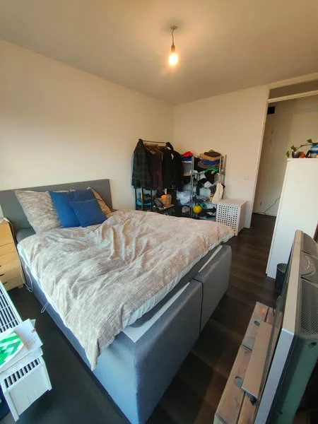 Rental property 2