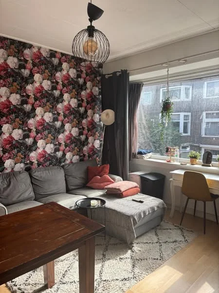 Rental property 2