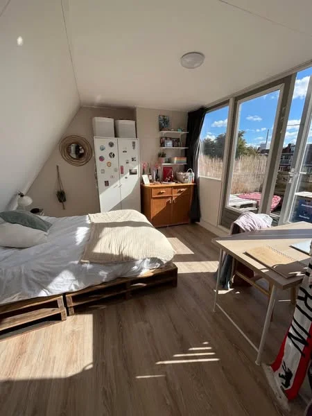Rental property 2
