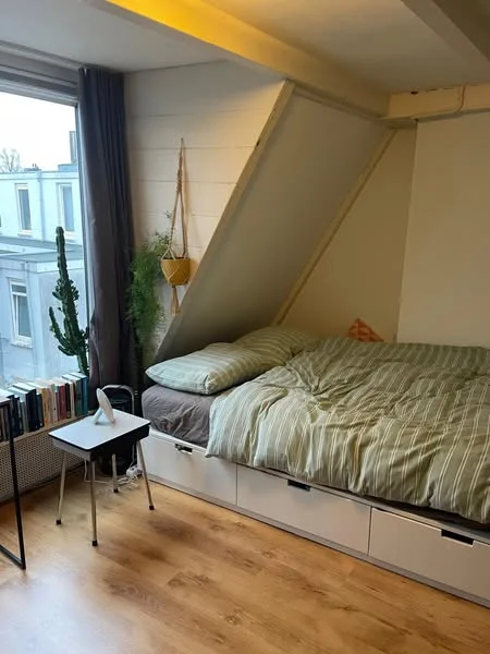 Rental property 2
