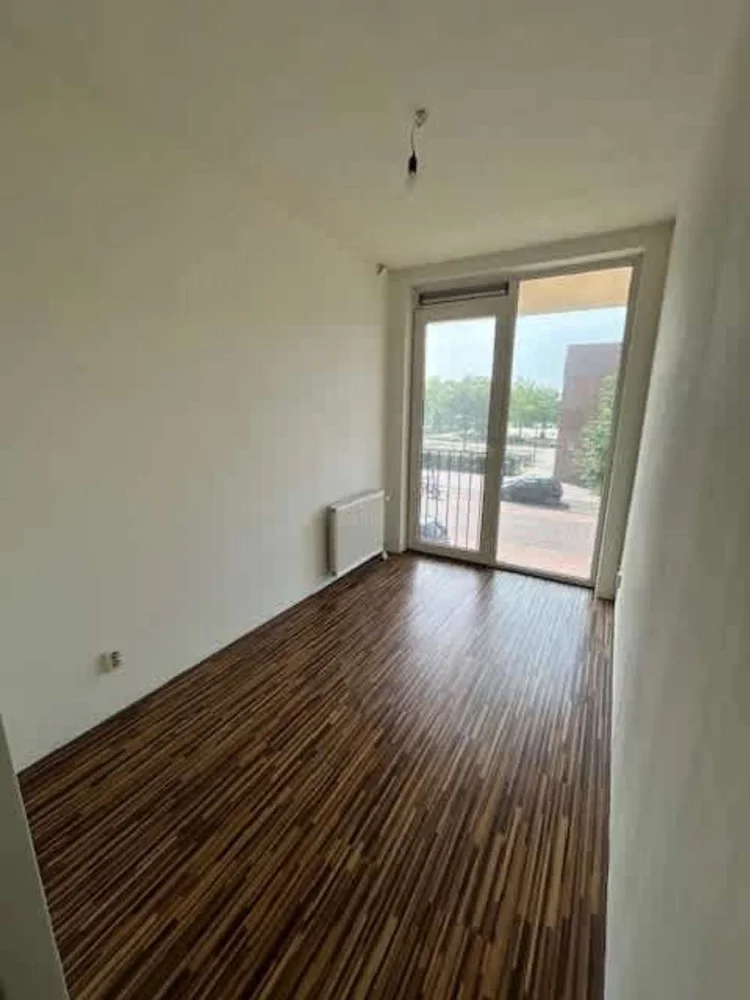 Rental property 2