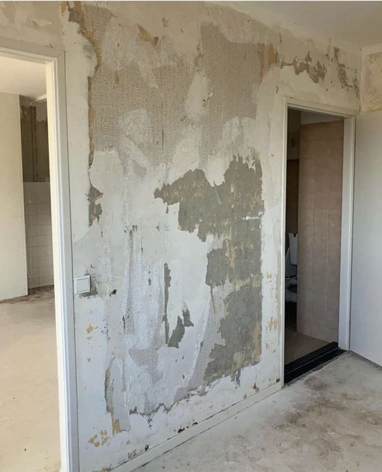 Rental property 2