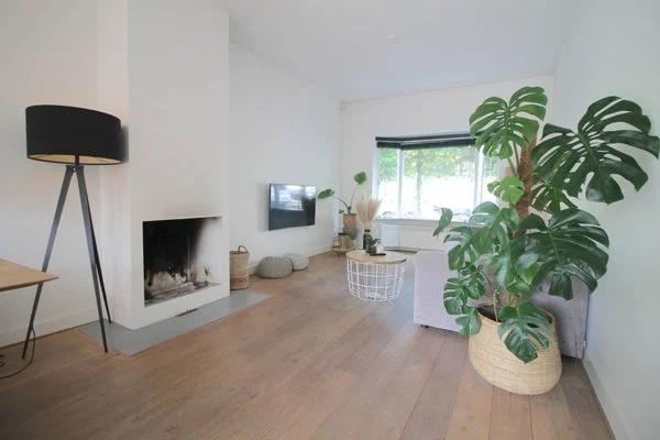 Rental property 2