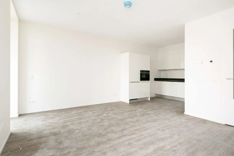 Rental property 2
