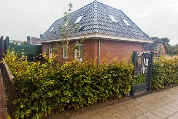 Rental property 2