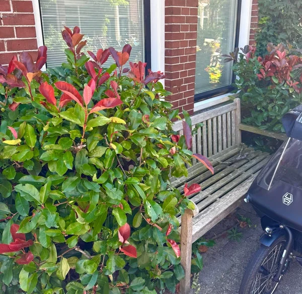 Rental property 2