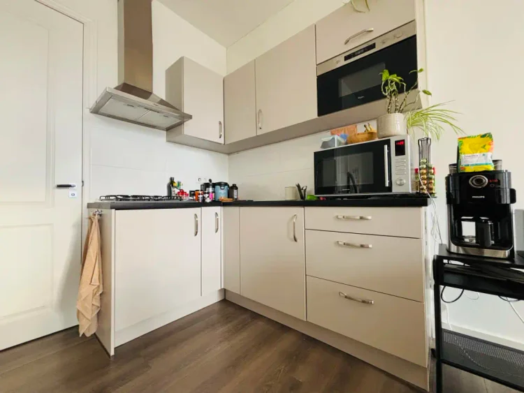 Rental property 2