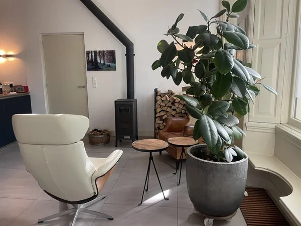 Rental property 2