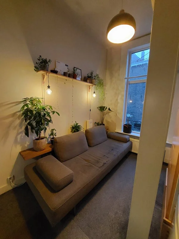Rental property 2